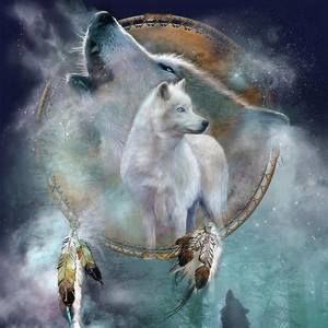 Meet your Posher, Ricky